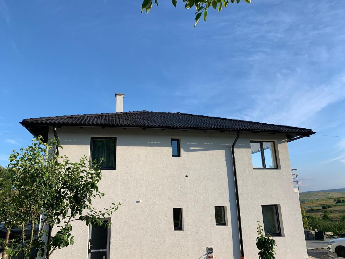 奥多尔黑塞库耶斯克Viktoria House别墅 外观 照片
