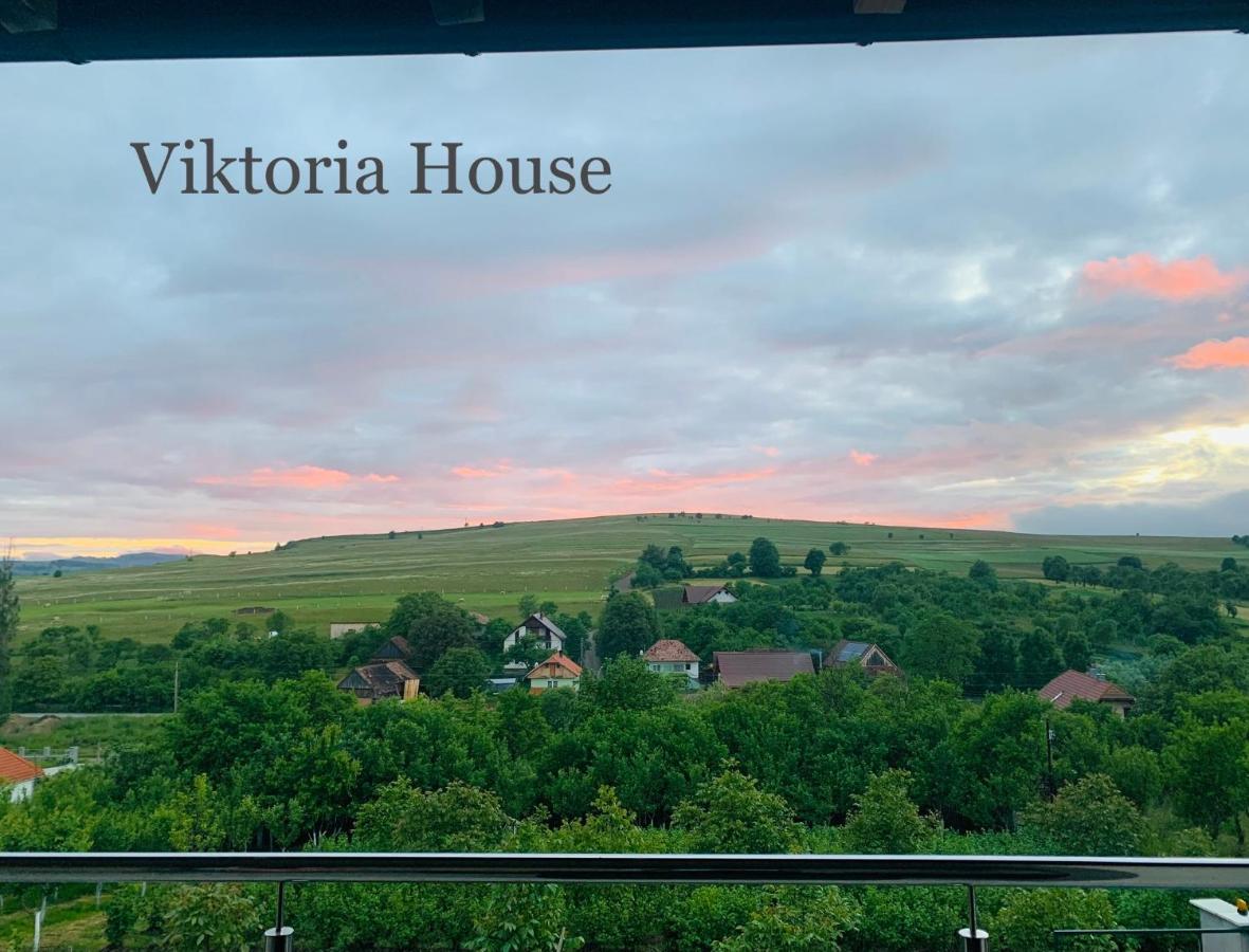 奥多尔黑塞库耶斯克Viktoria House别墅 外观 照片