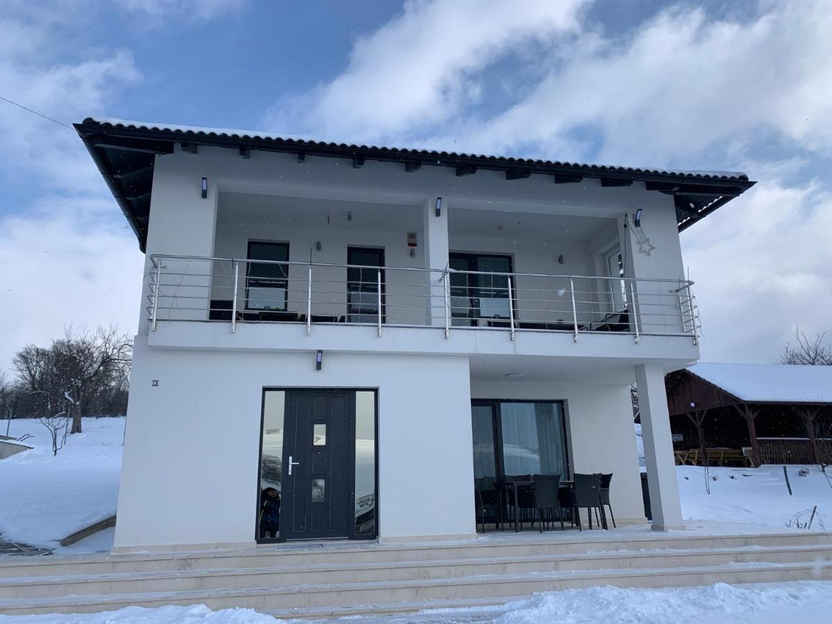 奥多尔黑塞库耶斯克Viktoria House别墅 外观 照片